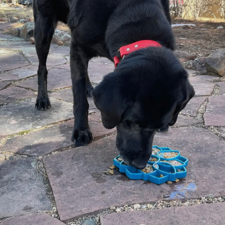 MANDALA ENRICHMENT TRAY FOR DOGS - PURPLE