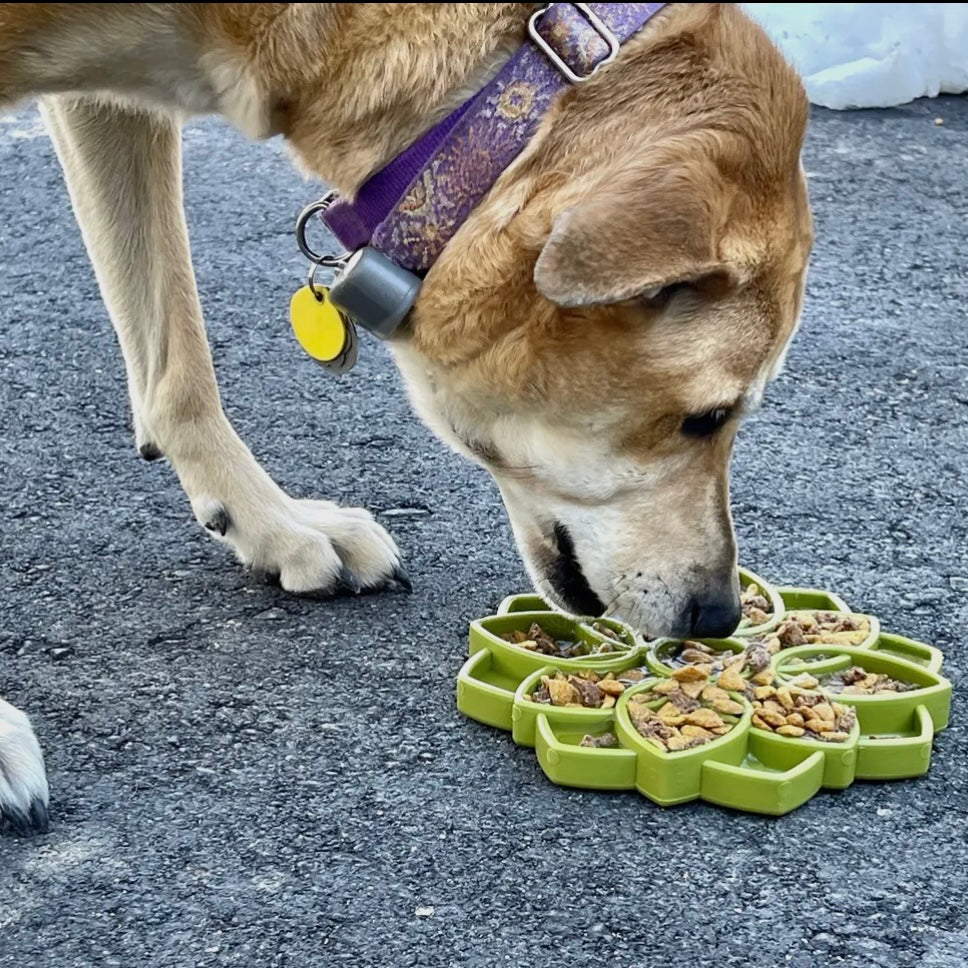 MANDALA ENRICHMENT TRAY FOR DOGS - YELLOW