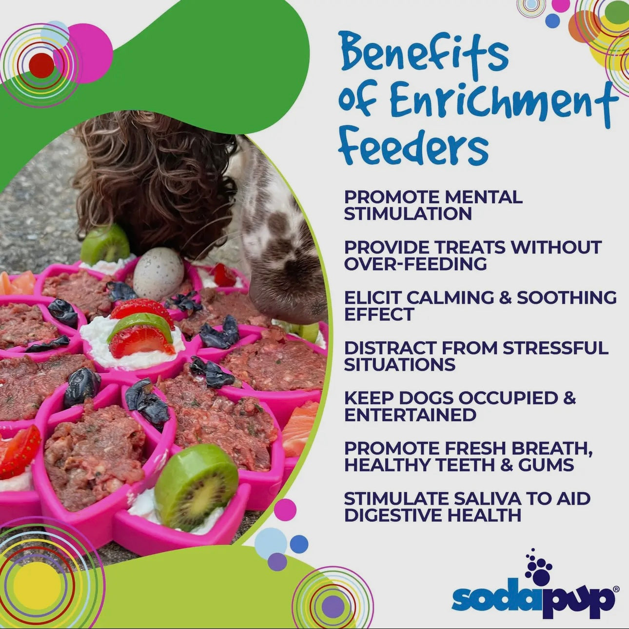 MANDALA ENRICHMENT TRAY FOR DOGS - BLUE