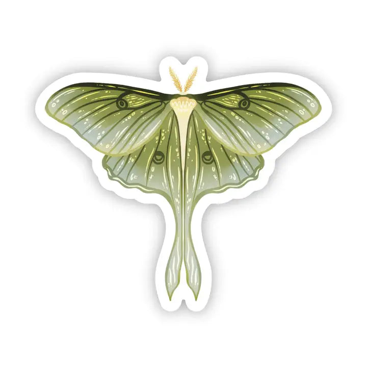 GREEN MOTH - STICKER