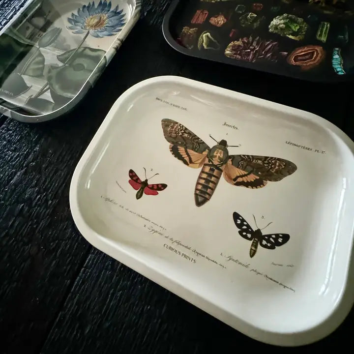 SMALL METAL VINTAGE SPHINX MOTH PRINT - RITUAL TRAY