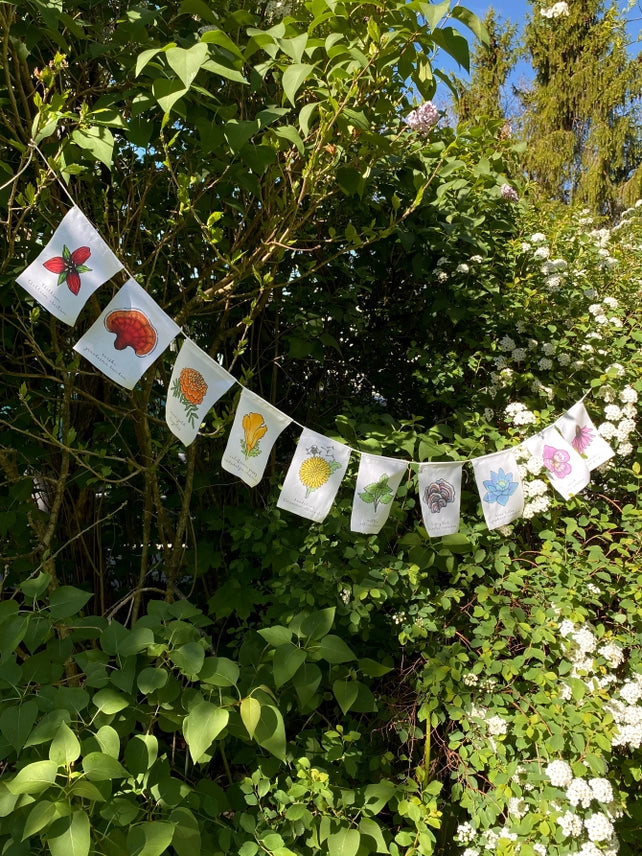 WHITE RAINBOW HERBS PRAYER FLAGS