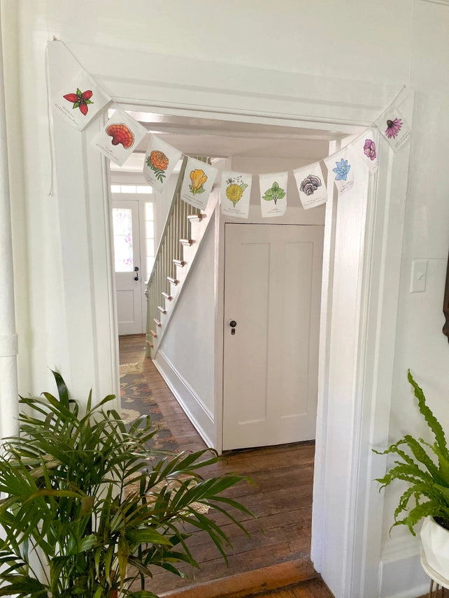 WHITE RAINBOW HERBS PRAYER FLAGS