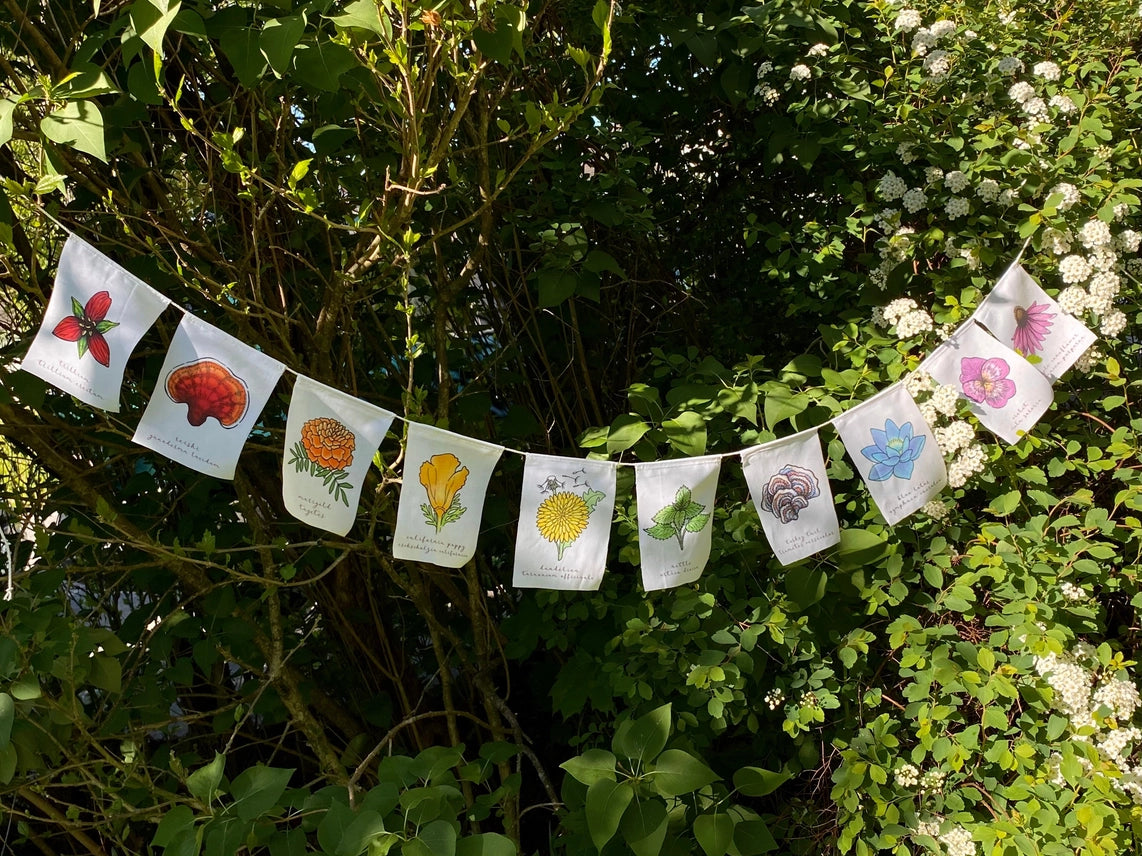 WHITE RAINBOW HERBS PRAYER FLAGS
