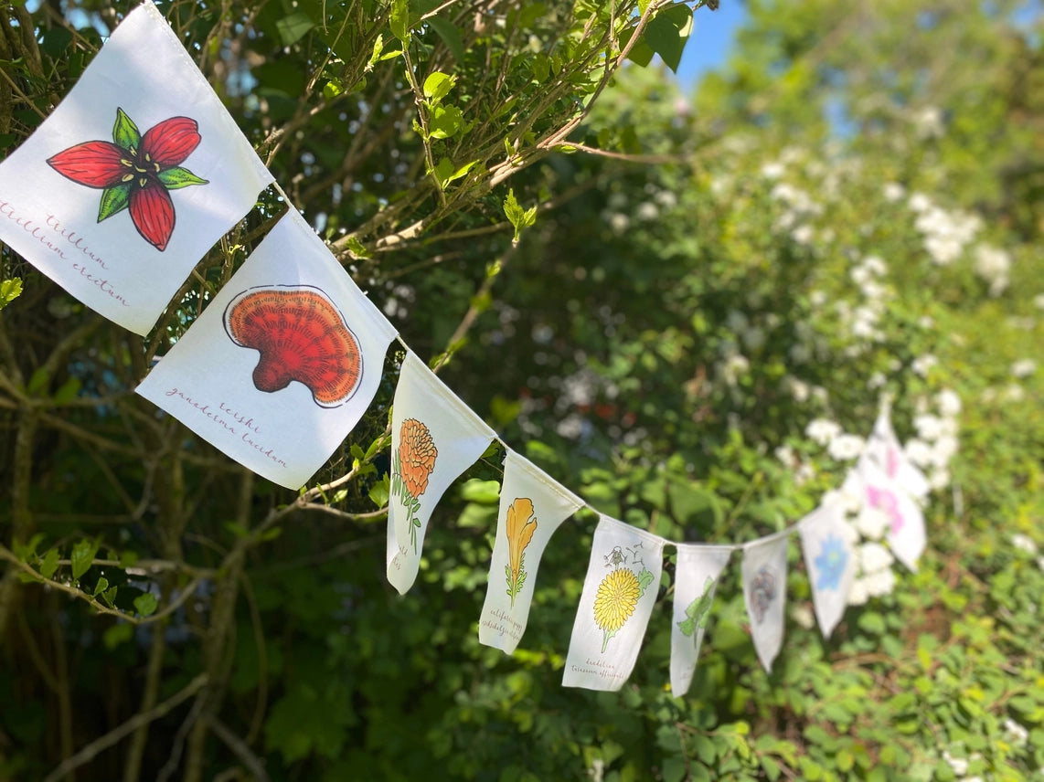 WHITE RAINBOW HERBS PRAYER FLAGS