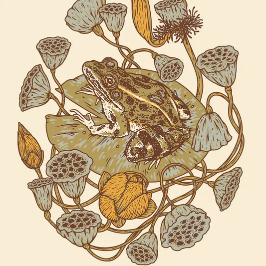 FROG, LOTUS PODS, AND LOTUS FLOWERS GICLEE PRINT