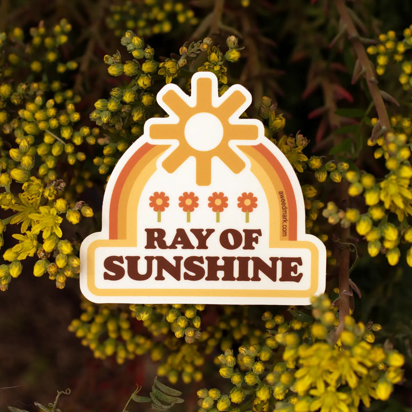 RAY OF SUNSHINE RETRO - STICKER