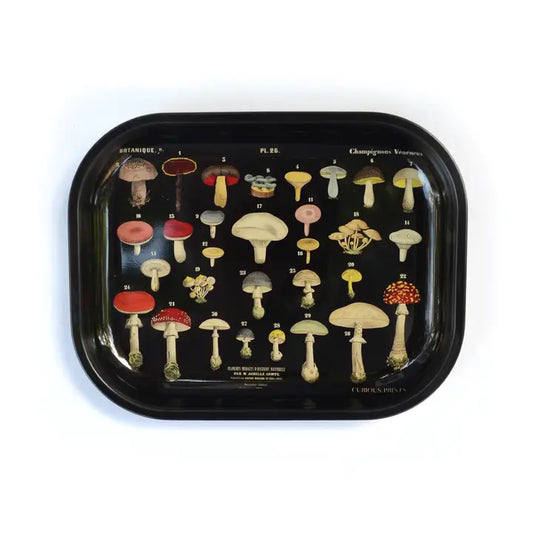 SMALL METAL VINTAGE BLACK MUSHROOM FUNGI PRINT - RITUAL TRAY