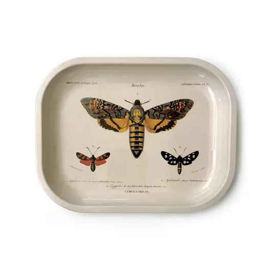 SMALL METAL VINTAGE SPHINX MOTH PRINT - RITUAL TRAY