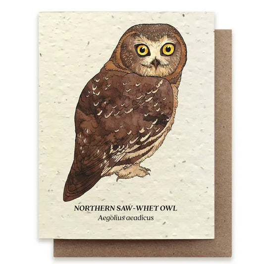 NORTHERN SAW-WHET OWL PLANTABLE WILDFLOWER SEED CARD